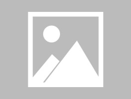 LOL脚本优先更新，lol脚本是自动操作吗