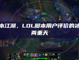 脚本江湖，LOL脚本用户评价的冰火两重天