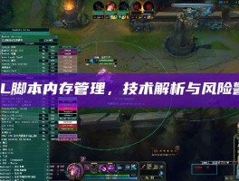LOL脚本内存管理，技术解析与风险警示