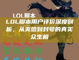 LOL脚本用户评价深度剖析，从爽感到封号的真实众生相