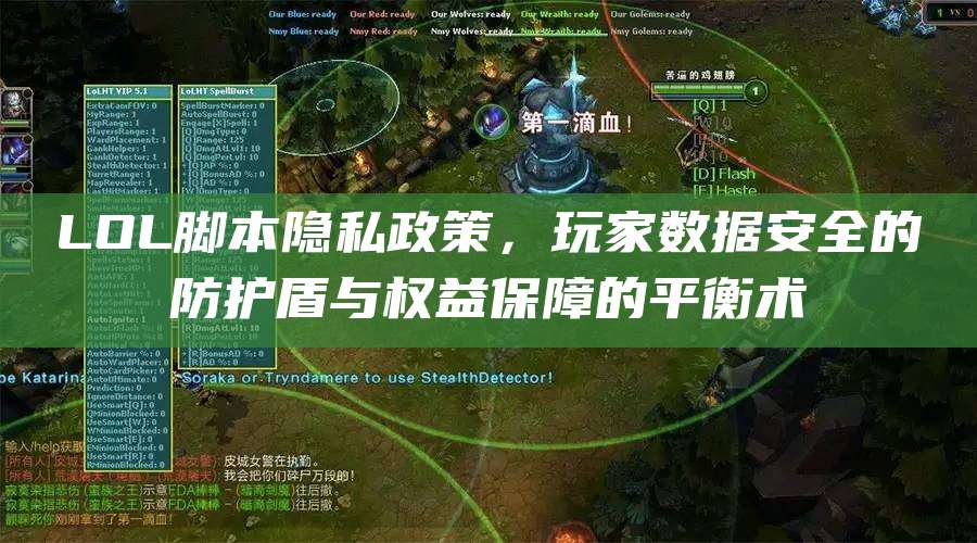 LOL脚本隐私政策,玩家数据安全的防护盾与权益保障的平衡术