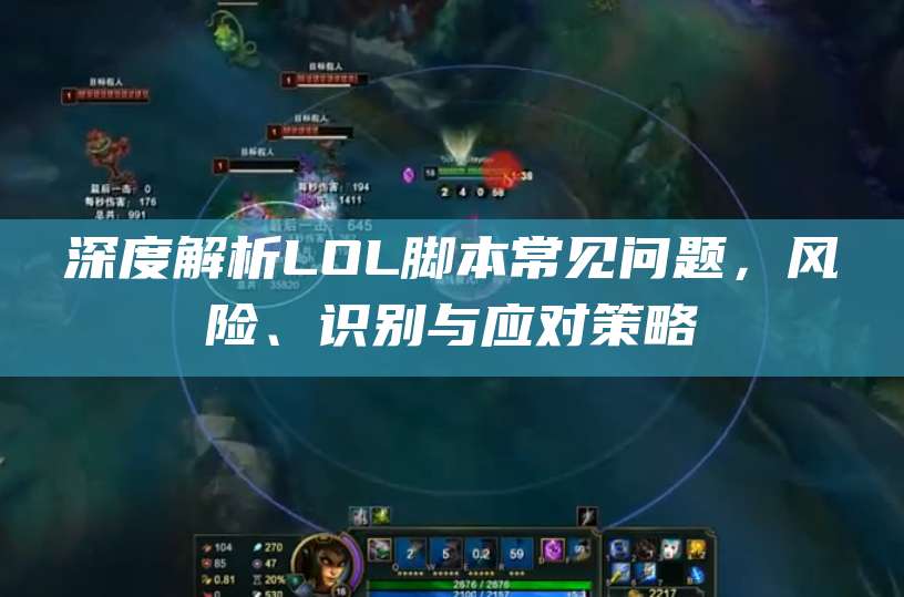 深度解析LOL脚本常见问题,风险、识别与应对策略