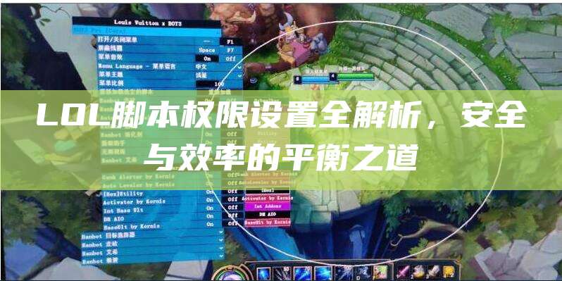 LOL脚本权限设置全解析,安全与效率的平衡之道