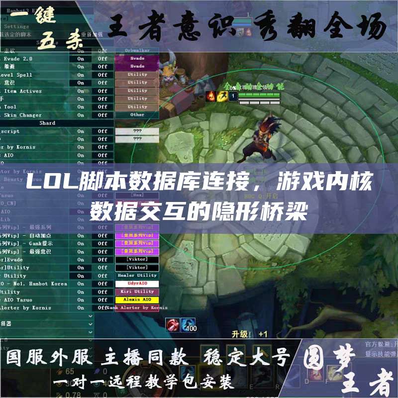 LOL脚本数据库连接,游戏内核数据交互的隐形桥梁